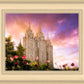Salt Lake Tulips