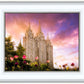Salt Lake Tulips
