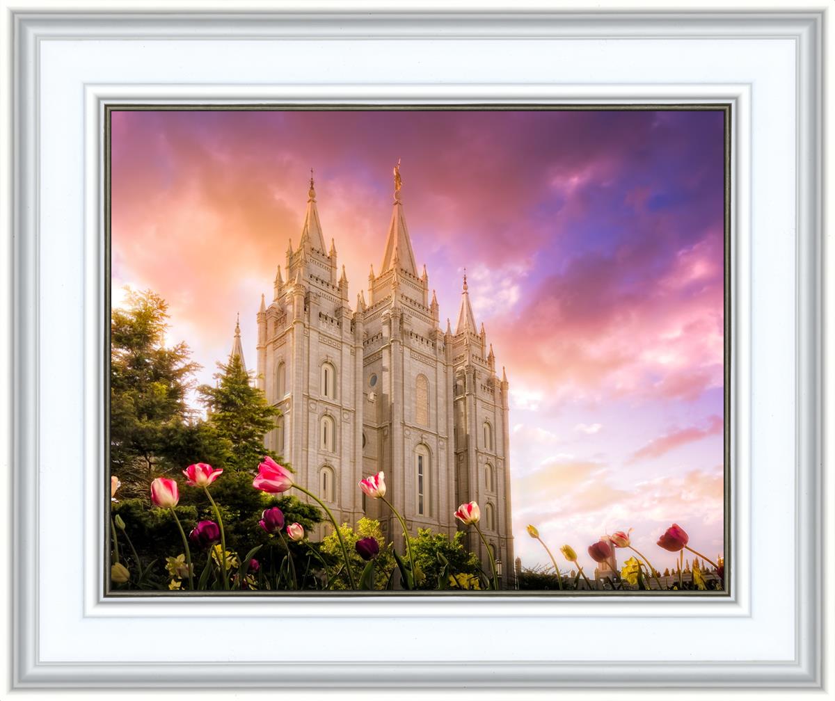 Salt Lake Tulips