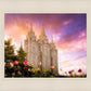 Salt Lake Tulips