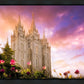 Salt Lake Tulips