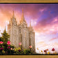 Salt Lake Tulips