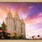 Salt Lake Tulips