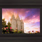 Salt Lake Tulips