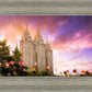 Salt Lake Tulips
