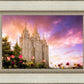 Salt Lake Tulips