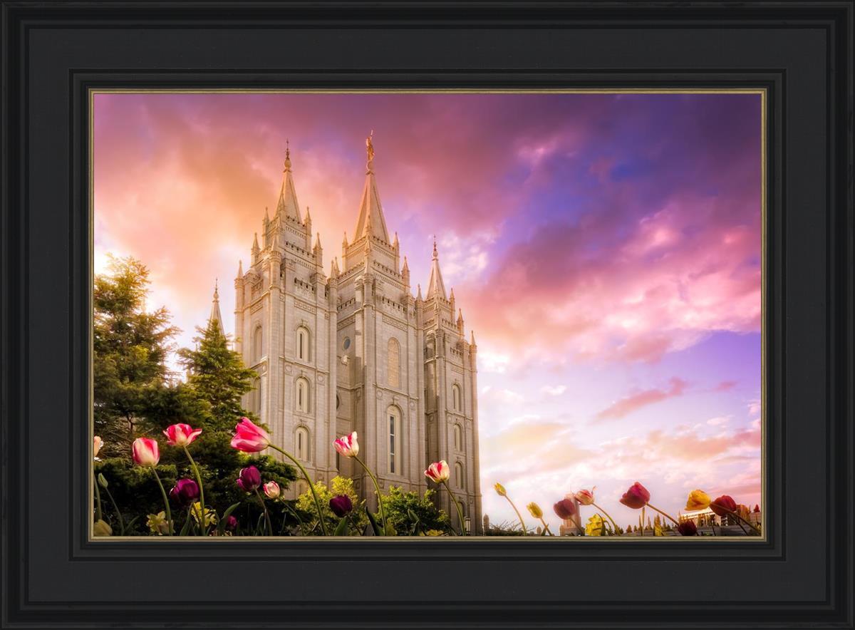 Salt Lake Tulips