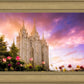 Salt Lake Tulips
