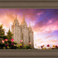 Salt Lake Tulips
