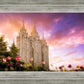 Salt Lake Tulips