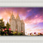 Salt Lake Tulips