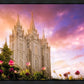 Salt Lake Tulips