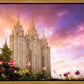 Salt Lake Tulips