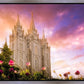Salt Lake Tulips