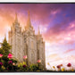 Salt Lake Tulips