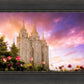 Salt Lake Tulips