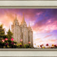 Salt Lake Tulips
