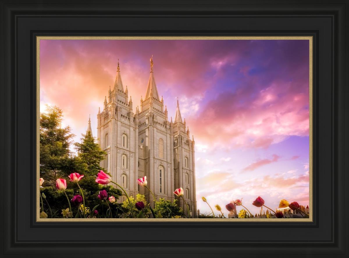 Salt Lake Tulips