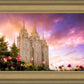 Salt Lake Tulips