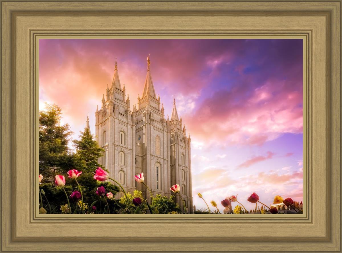 Salt Lake Tulips