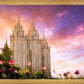 Salt Lake Tulips