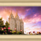 Salt Lake Tulips