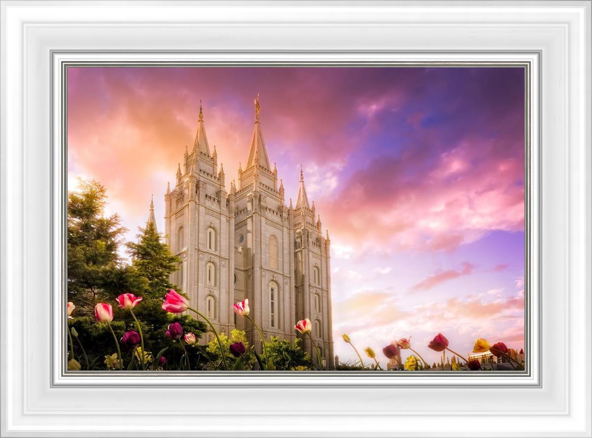 Salt Lake Tulips