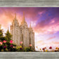 Salt Lake Tulips