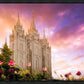 Salt Lake Tulips