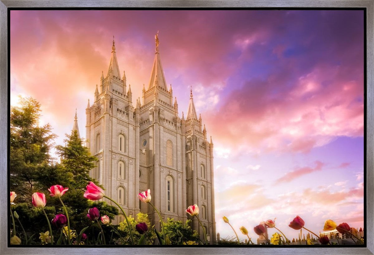 Salt Lake Tulips Gallery Wrap