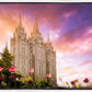 Salt Lake Tulips