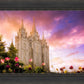 Salt Lake Tulips