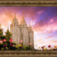 Salt Lake Tulips