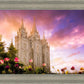 Salt Lake Tulips