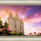 Salt Lake Tulips