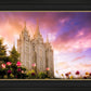 Salt Lake Tulips