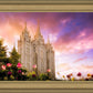 Salt Lake Tulips