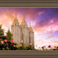 Salt Lake Tulips