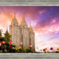 Salt Lake Tulips