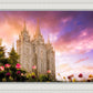 Salt Lake Tulips