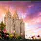 Salt Lake Tulips