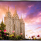 Salt Lake Tulips