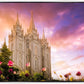 Salt Lake Tulips