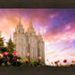 Salt Lake Tulips