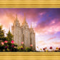 Salt Lake Tulips