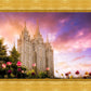 Salt Lake Tulips