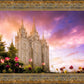 Salt Lake Tulips