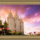 Salt Lake Tulips
