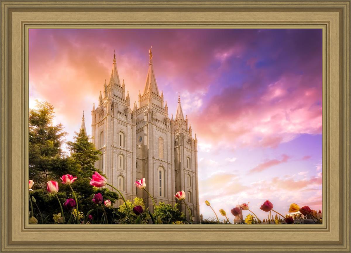 Salt Lake Tulips