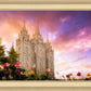 Salt Lake Tulips